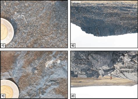 The Influence of Melt Composition on the Formation of Mafic Bag Large